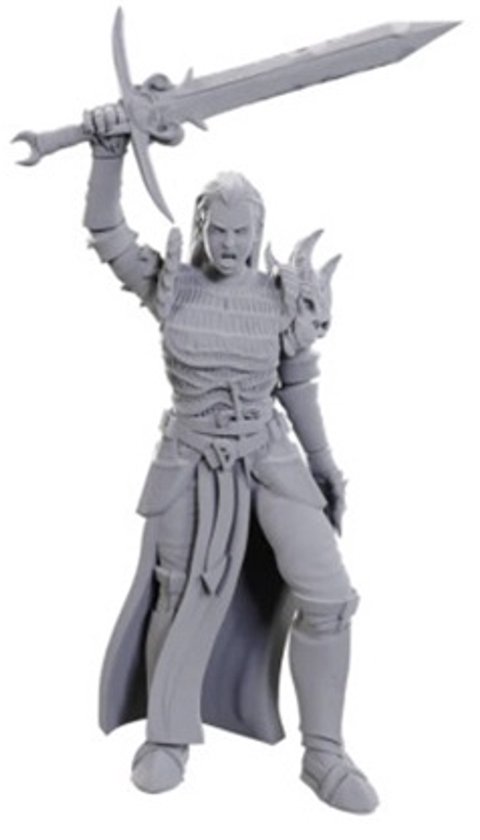 La Marvelous garde noire des miniatures de D&D Nolzur