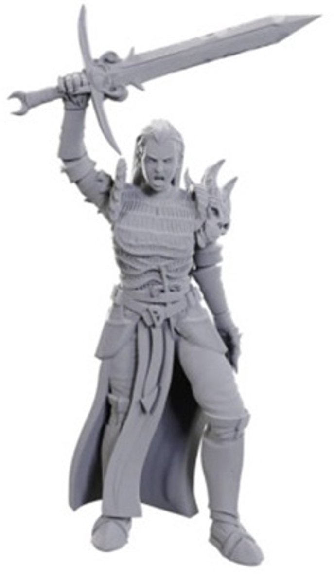 D&D Nolzur's Marvelous Miniatures Blackguard