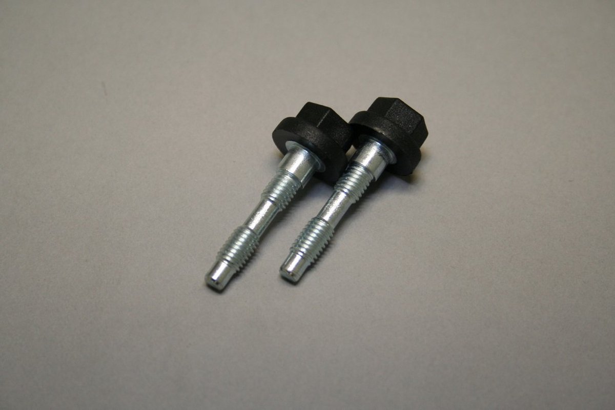 BOSCH Schroef M5 (2x), 8718600166
