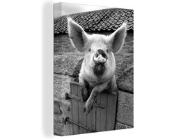 Canvas Schilderij Varken in de buitenstal - zwart wit - 90x120 cm - Wanddecoratie