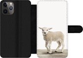 Bookcase Geschikt voor iPhone 11 Pro Max telefoonhoesje - Lammetje - Schaap - Dieren - Kinderen - Meisjes - Jongens - Met vakjes - Wallet case met magneetsluiting