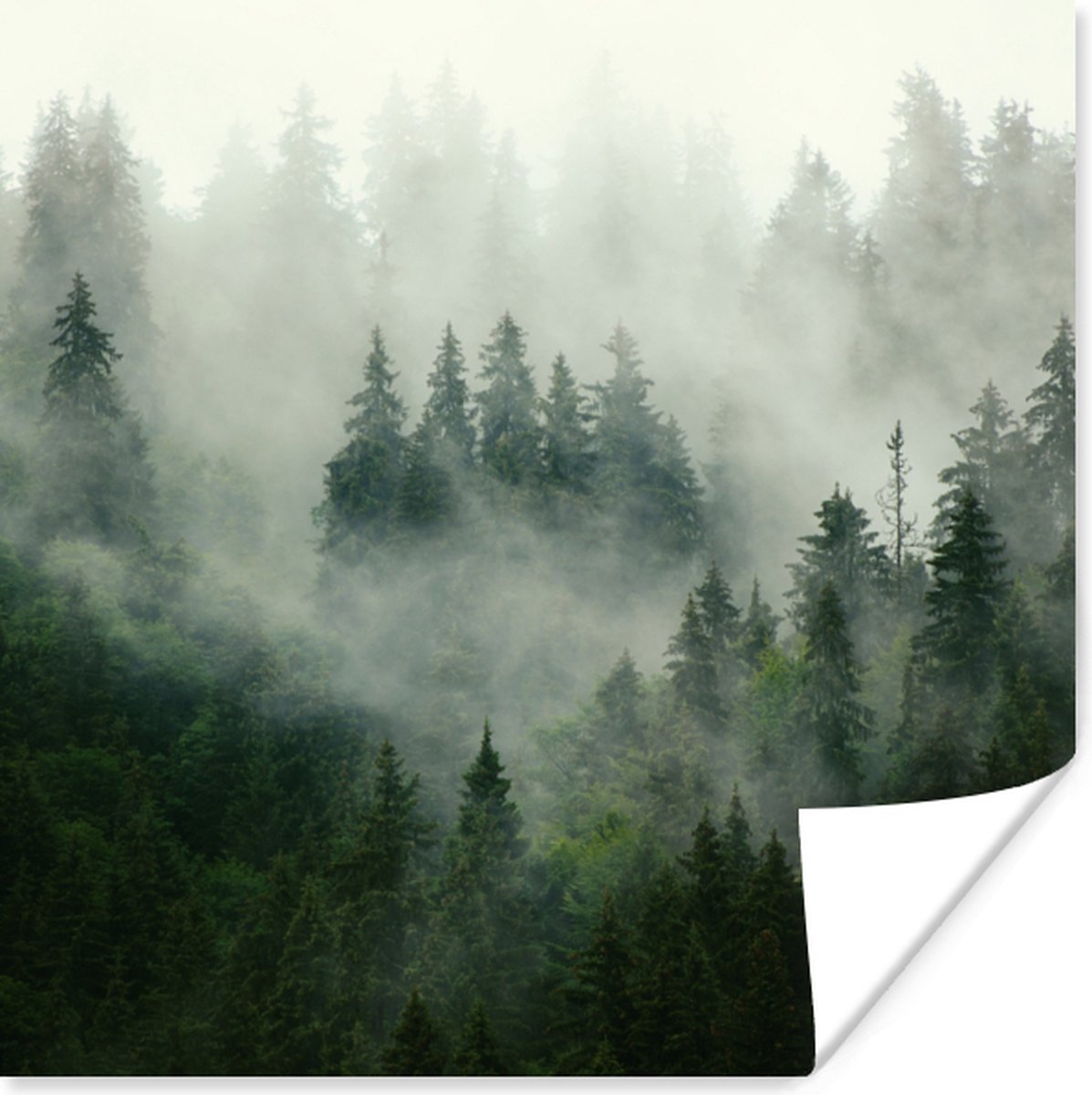 Poster Bos - Mist - Bomen - Natuur - 30x30 cm