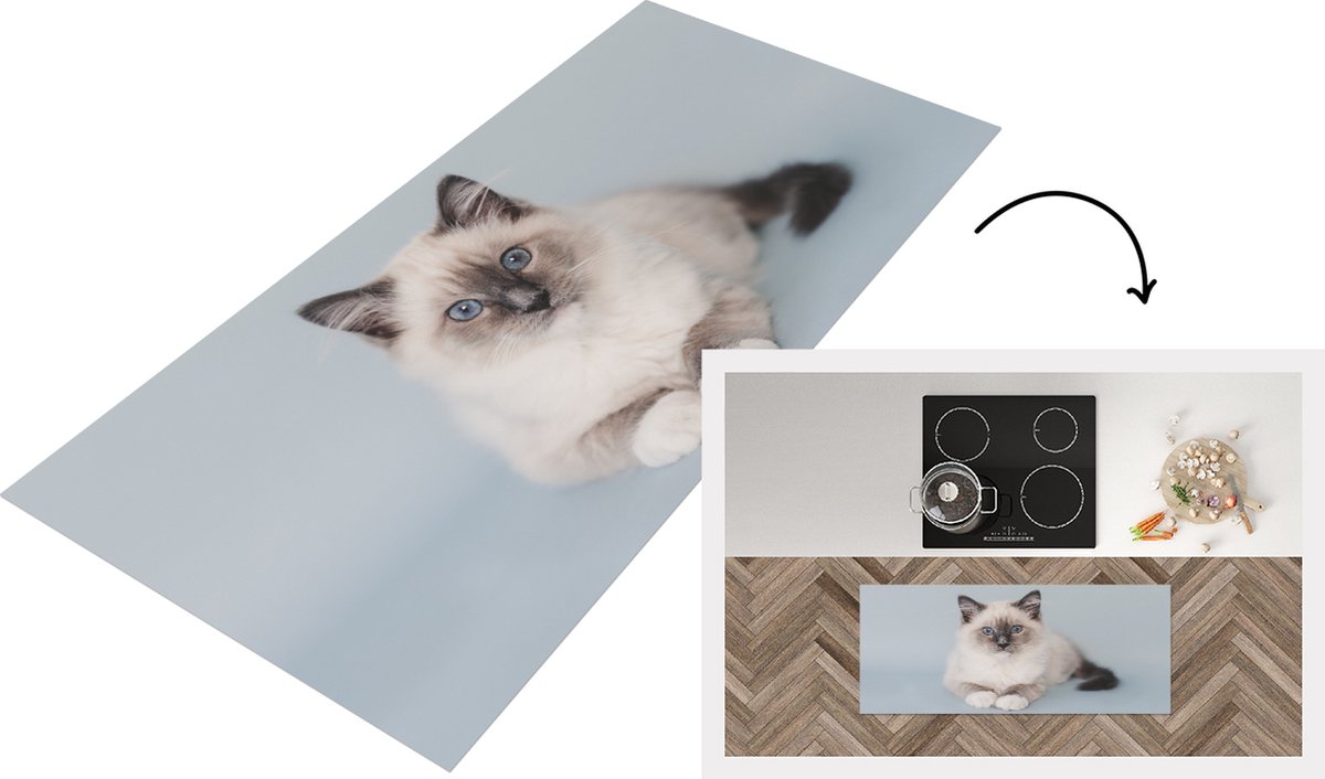 KitchenYeah Keukenloper - Loper keuken - Kat - Ragdoll Kat - Blauw - Keukenloper vinyl Multicolor