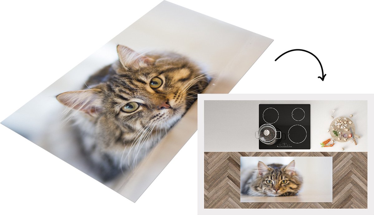 KitchenYeah Keukenloper - Loper keuken - Kat - Vacht - Ogen - 120x60 cm - Keukenloper vinyl Multicolor