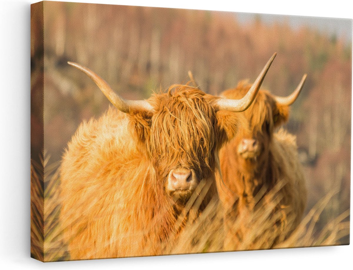 Artaza Canvas Schilderij Schotse Hooglander - 60x40 cm - Wanddecoratie Woonkamer - Muurdec