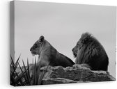 Artaza Canvas Schilderij Leeuw en Leeuwin op een Rots - Zwart Wit - 60x40 - Foto Op Canvas - Canvas Print