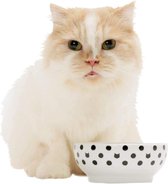 Necoichi voerbak katten en poezen - anti-mors - voerbakje katten - kattenvoerbak