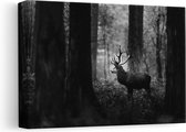Artaza Canvas Schilderij Hert in het Bos - Zwart Wit - 30x20 - Klein - Foto Op Canvas - Canvas Print