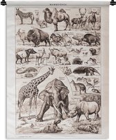 Wandkleed - Wanddoek - Dieren - Olifant - Zwart - Wit - 60x80 cm - Wandtapijt