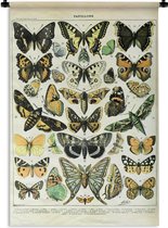 Wandkleed - Wanddoek - Vlinder - Dieren - Insecten - 60x90 cm - Wandtapijt