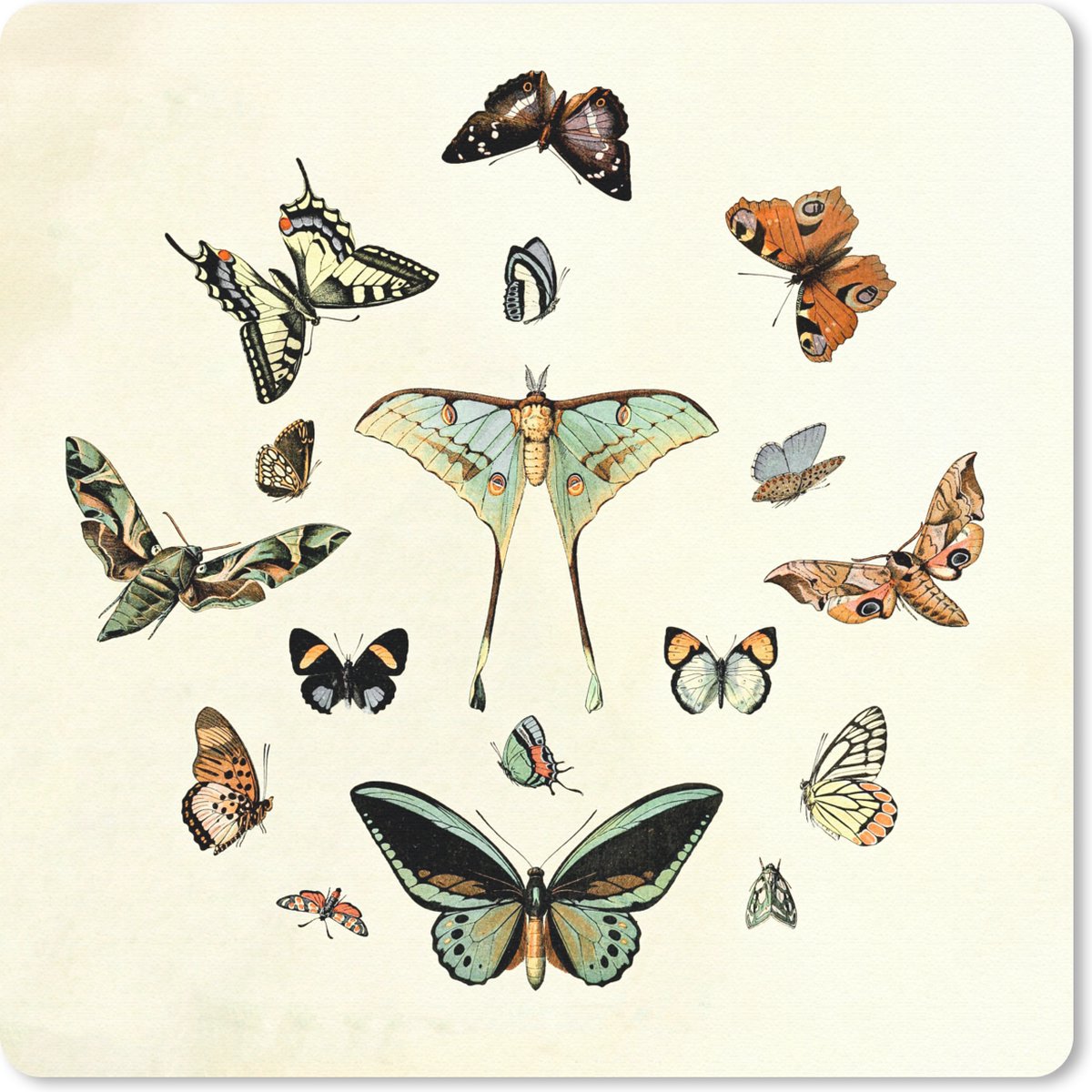 Muismat 20x20 cm - Mousepad Vlinder - Dieren - Vintage - Muismatten