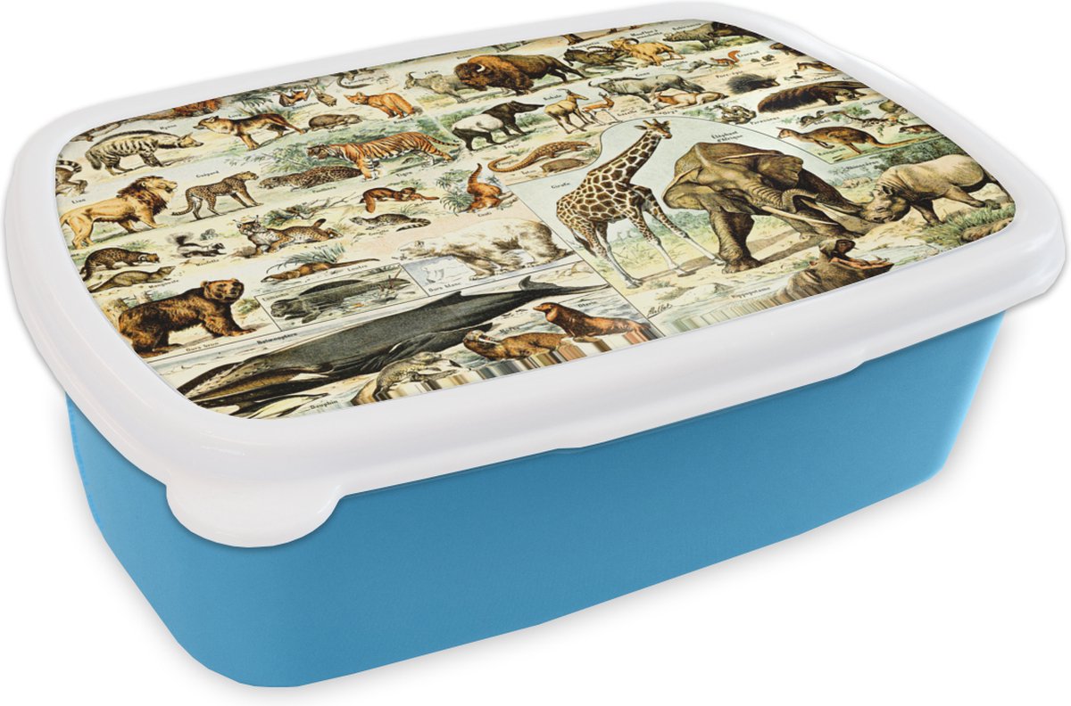 Broodtrommel Blauw - Lunchbox - Brooddoos - Dieren - Giraffe - Leeuw - 18x12x6 cm - Kinderen - Jongen