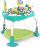 Bright Starts Bounce Bounce Baby Playful Pond 2-in-1 Activity Jumper K11565