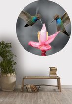 Behangcirkel Kolibries | ⌀ 120 cm | Wandecoratie | Wandcirkel