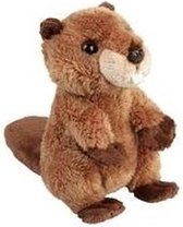 Pluche bruine bever knuffel 15 cm - Bevers knaagdieren knuffels - Speelgoed knuffeldieren/knuffelbeest voor kinderen