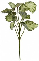 kunstplant Begonia Rex 45 cm zijde groen/wit