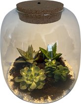 Ecosysteem Desert met verlichting – ↨ 25cm – ⌀ 23,5cm