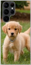 Geschikt voor Samsung Galaxy S22 Ultra hoesje - Golden Retriever pup in het groene gras - Siliconen Telefoonhoesje