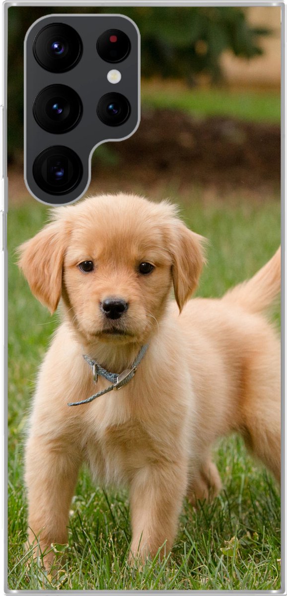 Telefoonhoesje Geschikt voor Samsung Galaxy S22 Ultra hoesje - Golden Retriever pup in het groene gras - Siliconen Telefoonhoesje Telefoonhoesje