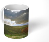 Mok - Schotse Hooglander - Landschap - Koe - 350 ML - Beker - Uitdeelcadeautjes