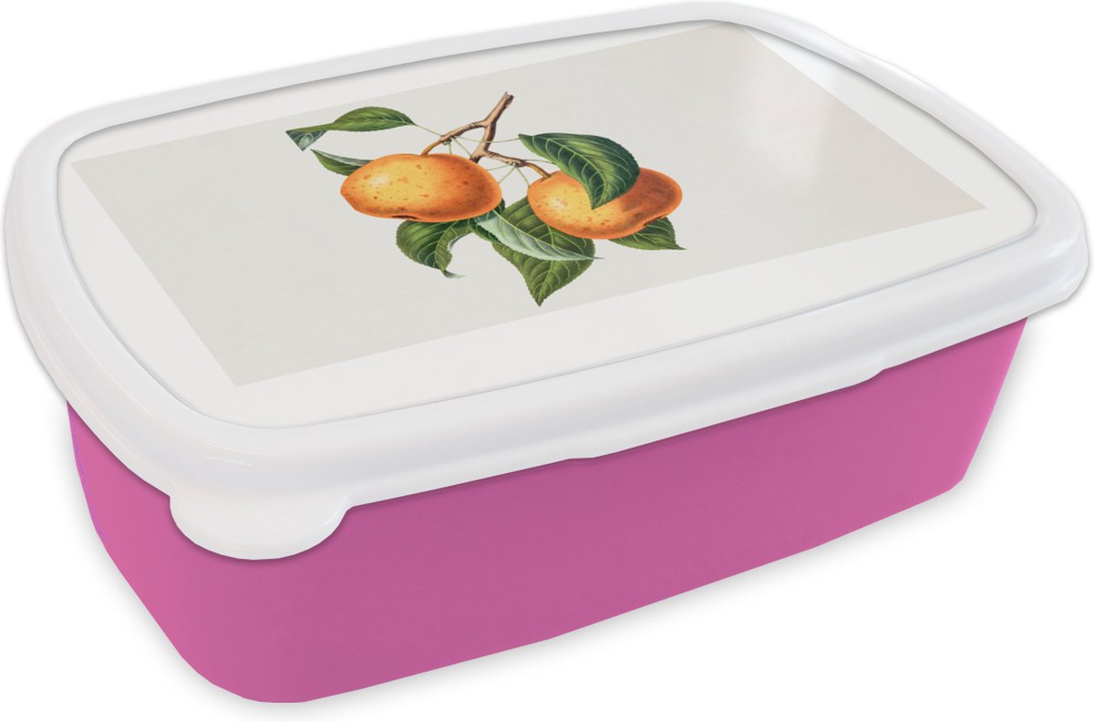 Broodtrommel Roze - Lunchbox - Brooddoos - Fruit - Eten - Bladeren - 18x12x6 cm - Kinderen - Meisje