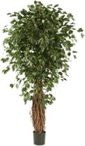 Ficus Liana Exotica - kunstplant