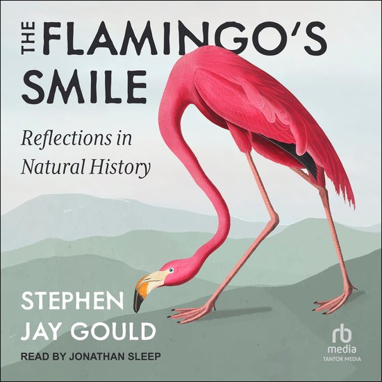 The Flamingo's Smile - cover