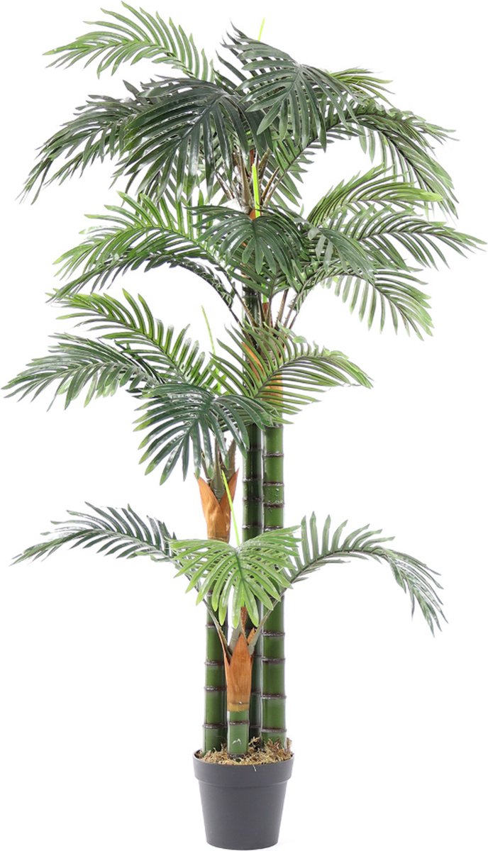 Kunstpalm Kunst Palmboom Florida | 165cm - Namaak palmboom - Kunstplanten voor binnen - Kunstpalm Donkergroen