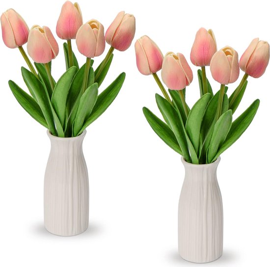 Tekening Bloemen In Een Vaas Van Een Ongebruikelijk Vorm Geven Aan Binnen Planten