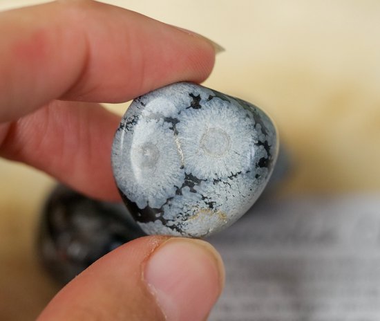 Zwarte Obsidiaan Kristal Palm Steen Natuurlijke Healing Steen voor Chakra Balancing Spritual Good Luck