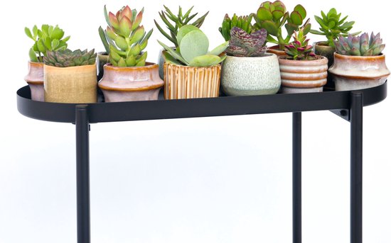Een zwarte ronde tafel met daarop 7 kleine vetplanten in diverse pastelkleurige potjes met ribbelstructuur.
