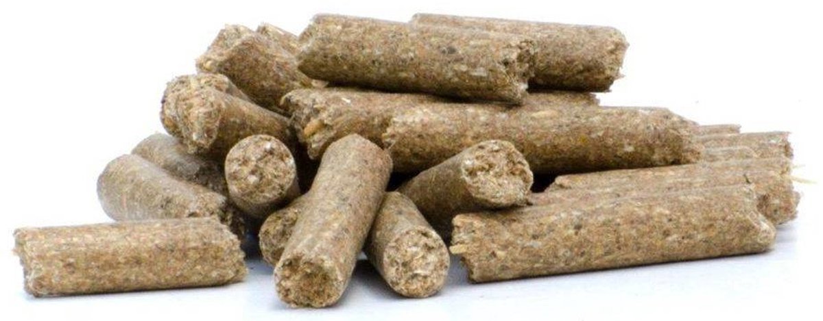 HorseFood Basis-Sportbrok - 20kg - Paardenvoer