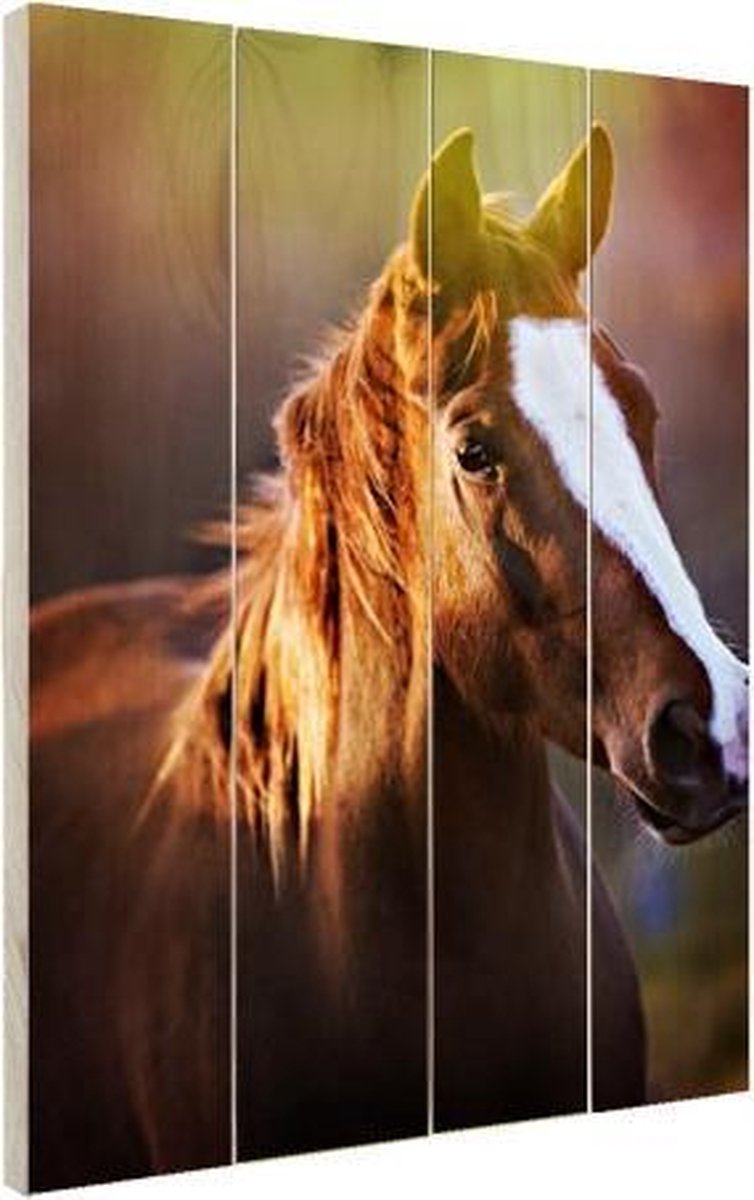 Paarden op hout 20x30 Portret van paard Hout foto
