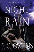 The Anrodnes Chronicles 2 - Night of Rain