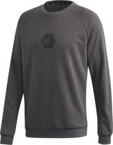 Adidas sales tan sweatshirt