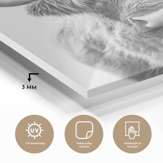 MuchoWow® Peinture sur verre 50x50 cm - Peinture sur verre - Highlander écossais - Animaux - Cornes - Zwart et blanc - Photo sur verre acrylique - Peintures