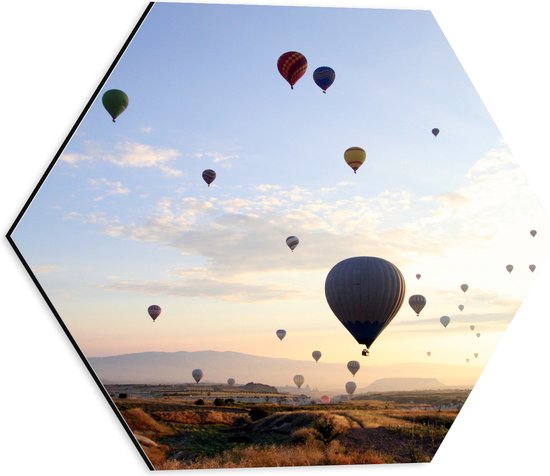 WallClassics - Dibond Hexagon - Zee van Verschillende Kleuren Luchtballonnen boven Natuur Landschap - 40x34.8 cm Foto op Hexagon (Met Ophangsysteem)