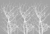 Fotobehang - Vlies Behang - Bomen in het Wit - 416 x 290 cm