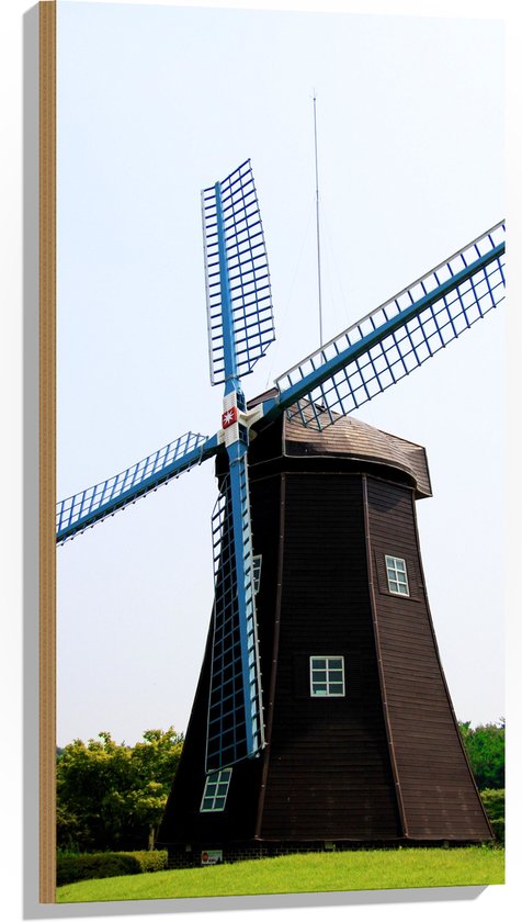 Hout - Windmolen met Blauwe Molens in Weide - 50x100 cm - 9 mm dik - Foto op Hout (Met Ophangsysteem)