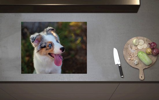 Inductieplaat Beschermer - Vrolijke Australische Herder Puppy in Natuurgebied - 60x52 cm - 2 mm Dik - Inductie Beschermer van Vinyl