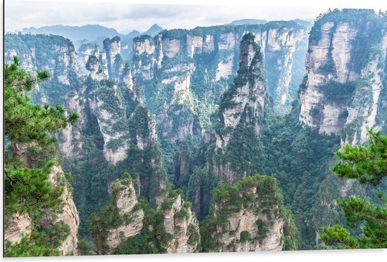 Dibond - Hoge Stijle Rotsen met Minimale Begroeiing in Zhangjiajie, China - 105x70 cm Foto op Aluminium (Met Ophangsysteem)