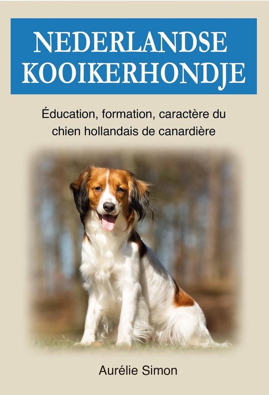 Nederlandse Kooikerhondje Education Formation Caract re du chien hollandais de bol