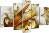 Glasschilderij Tulp - Wit, Bruin, Geel - 170x100cm 5Luik - Foto Op Glas - Geen Acrylglas Schilderij - 6000+ Glasschilderijen Collectie - Wanddecoratie