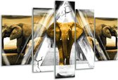 Glasschilderij Olifant - Geel, Wit, Grijs - 170x100cm 5Luik - Foto Op Glas - Geen Acrylglas Schilderij - 6000+ Glasschilderijen Collectie - Wanddecoratie