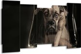 GroepArt - Canvas Schilderij - Hond - Grijs, Zwart, Wit - 150x80cm 5Luik- Groot Collectie Schilderijen Op Canvas En Wanddecoraties