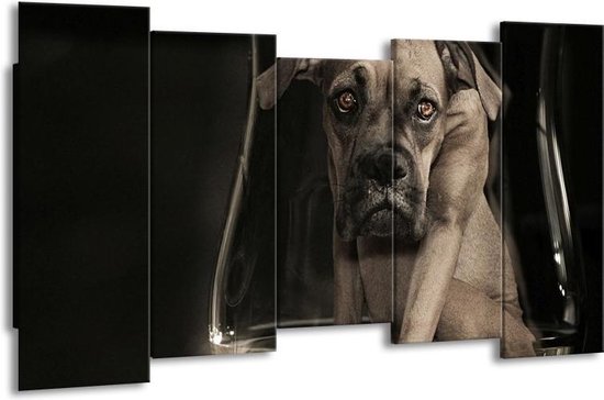Canvas schilderij Hond | Grijs, Zwart, Wit |