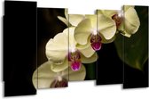 GroepArt - Canvas Schilderij - Orchidee - Geel, Paars, Zwart - 150x80cm 5Luik- Groot Collectie Schilderijen Op Canvas En Wanddecoraties