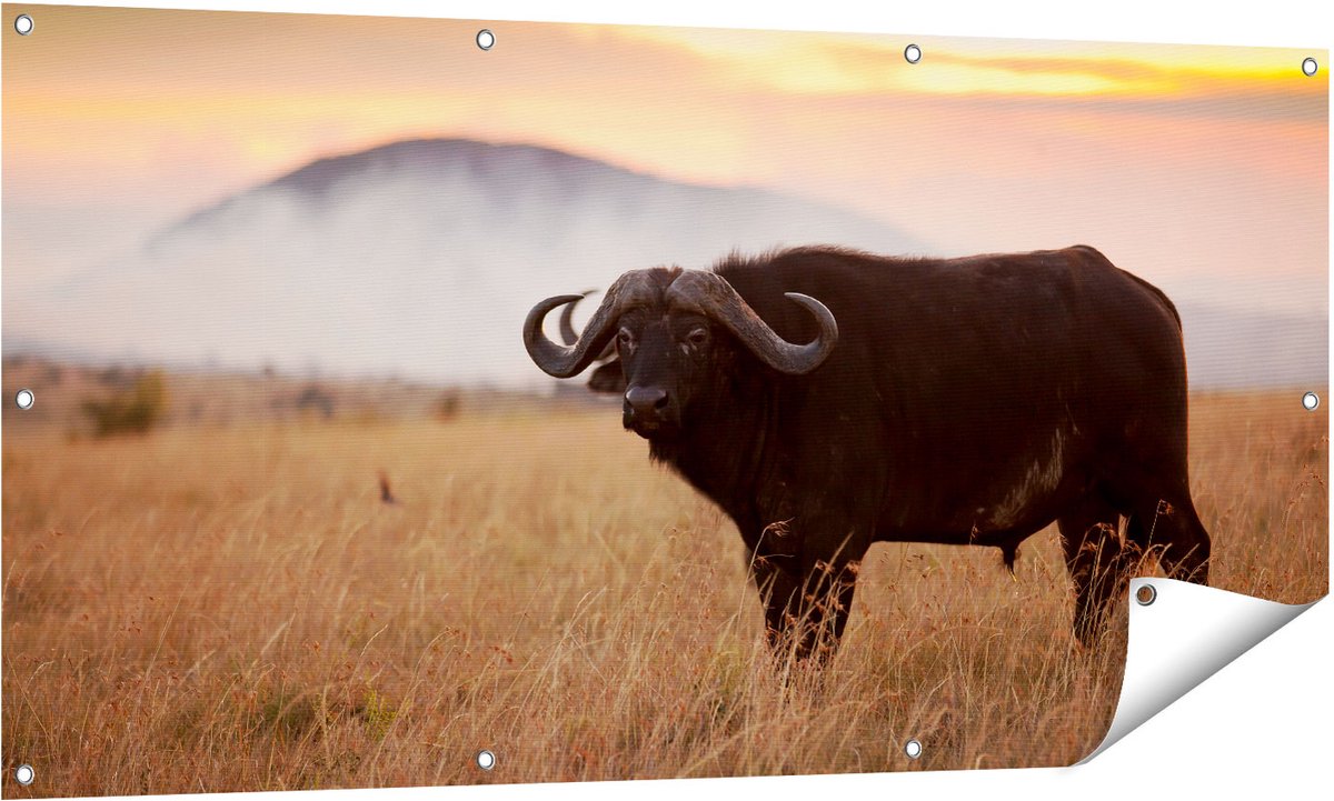 Gards Tuinposter Buffel in het Gras - 140x70 cm - Tuindoek - Tuindecoratie - Wanddecoratie buiten - Tuinschilderij Multikleur