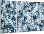 GroepArt - Schilderij -  Bloemen - Blauw, Grijs - 120x80cm 3Luik - 6000+ Schilderijen 0p Canvas Art Collectie