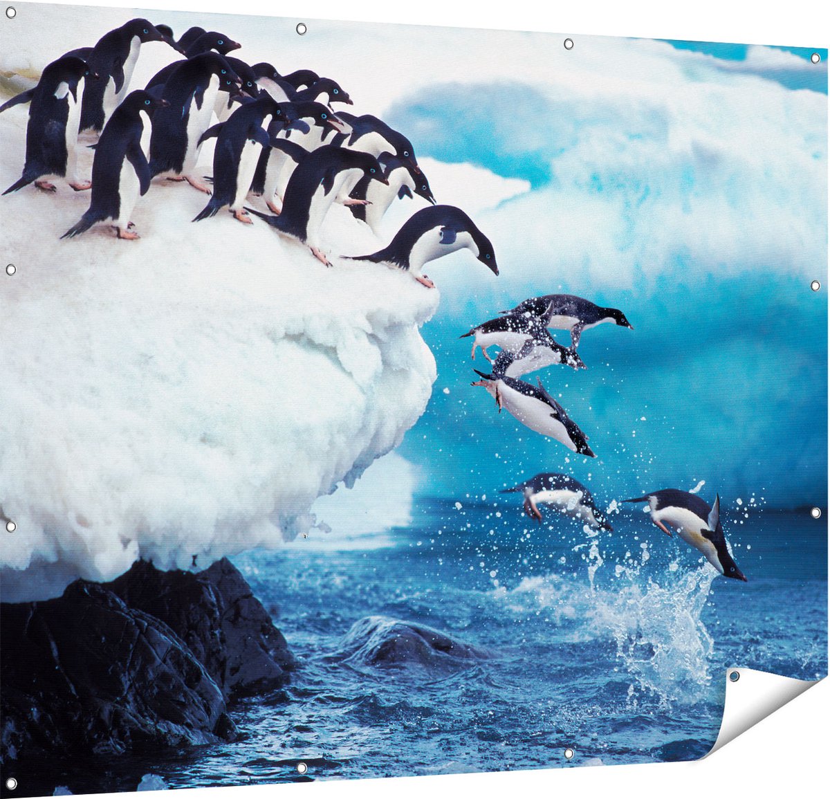 Gards Tuinposter Kudde Pingu�ns Springen vanaf een Rots - 150x120 cm - Tuindoek - Tuindecoratie - Wanddecoratie buiten - Tuinschilderij Multikleur
